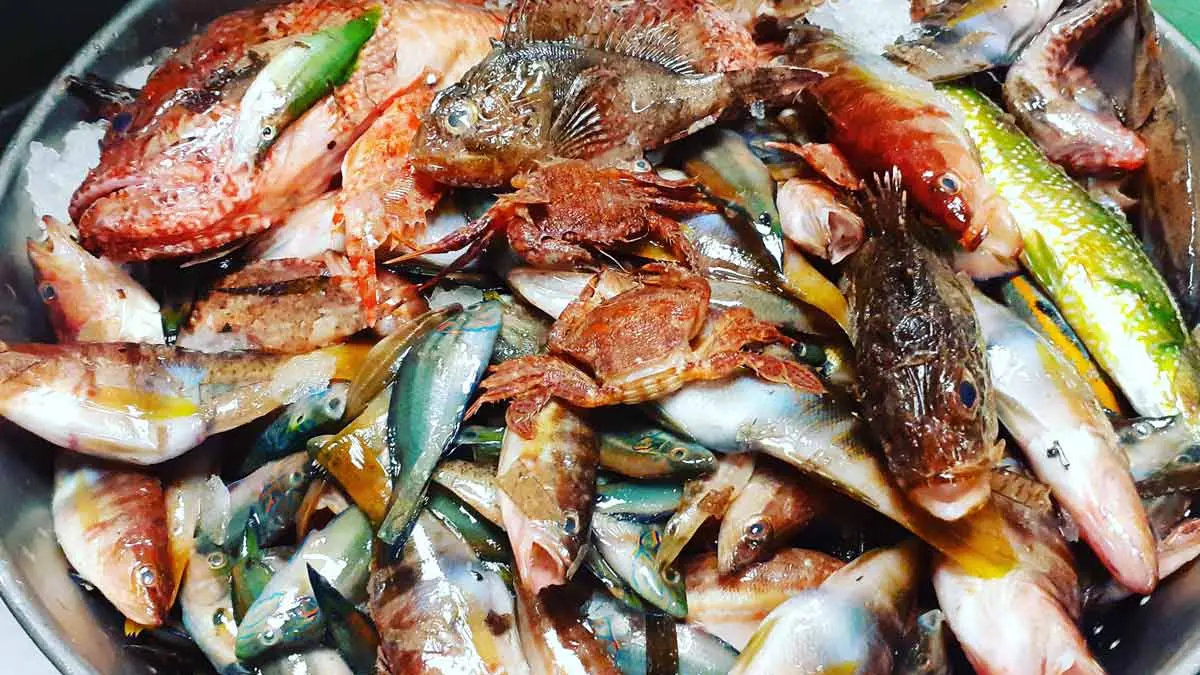 La Guinguette de Mayol