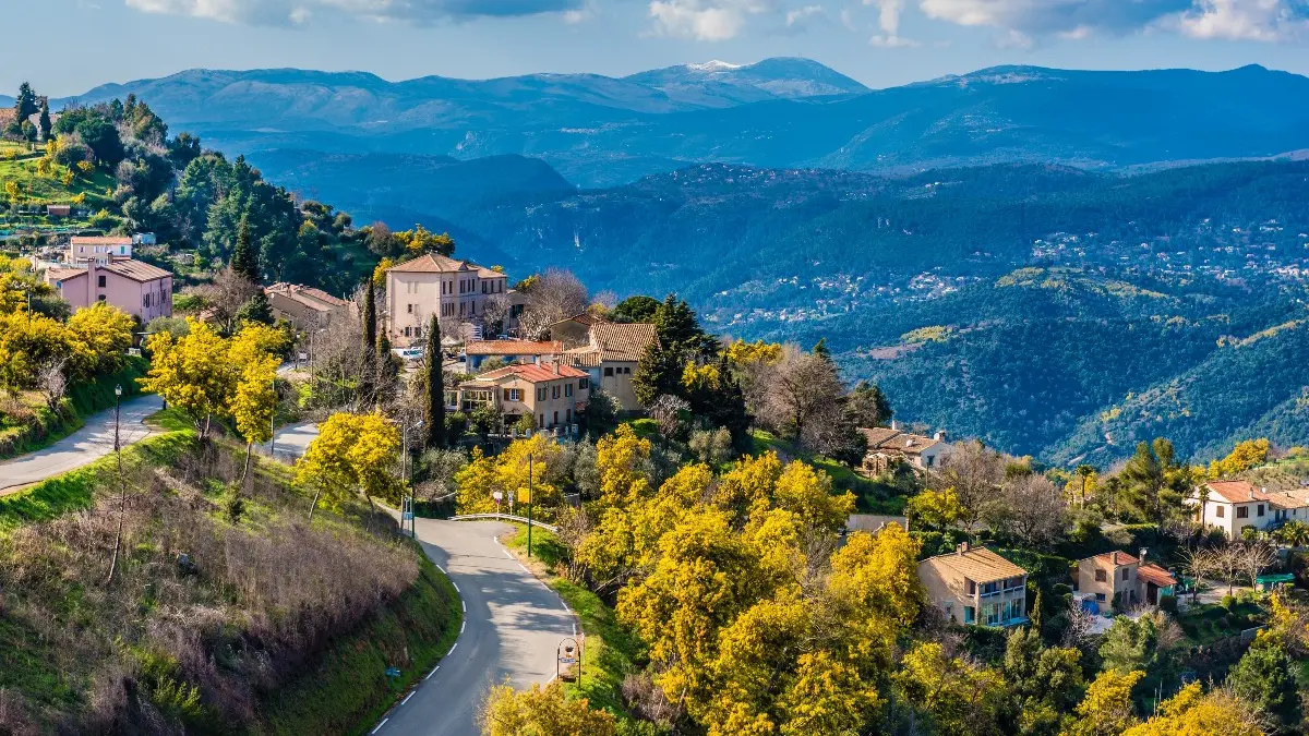 L'hiver en Estérel Côte d'Azur, entre carnavals et mimosa