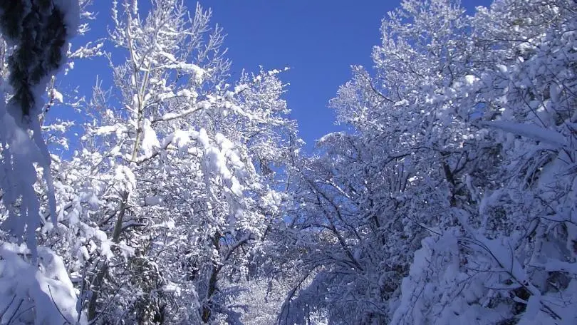 Sur le chemin du mont JARGOY 1085m