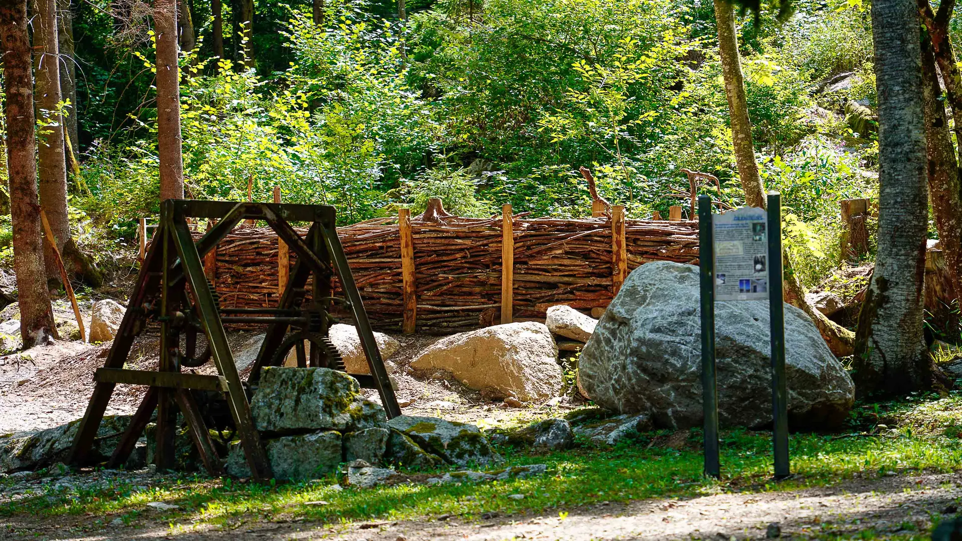 machine et canapé forestier à l'arrière plan