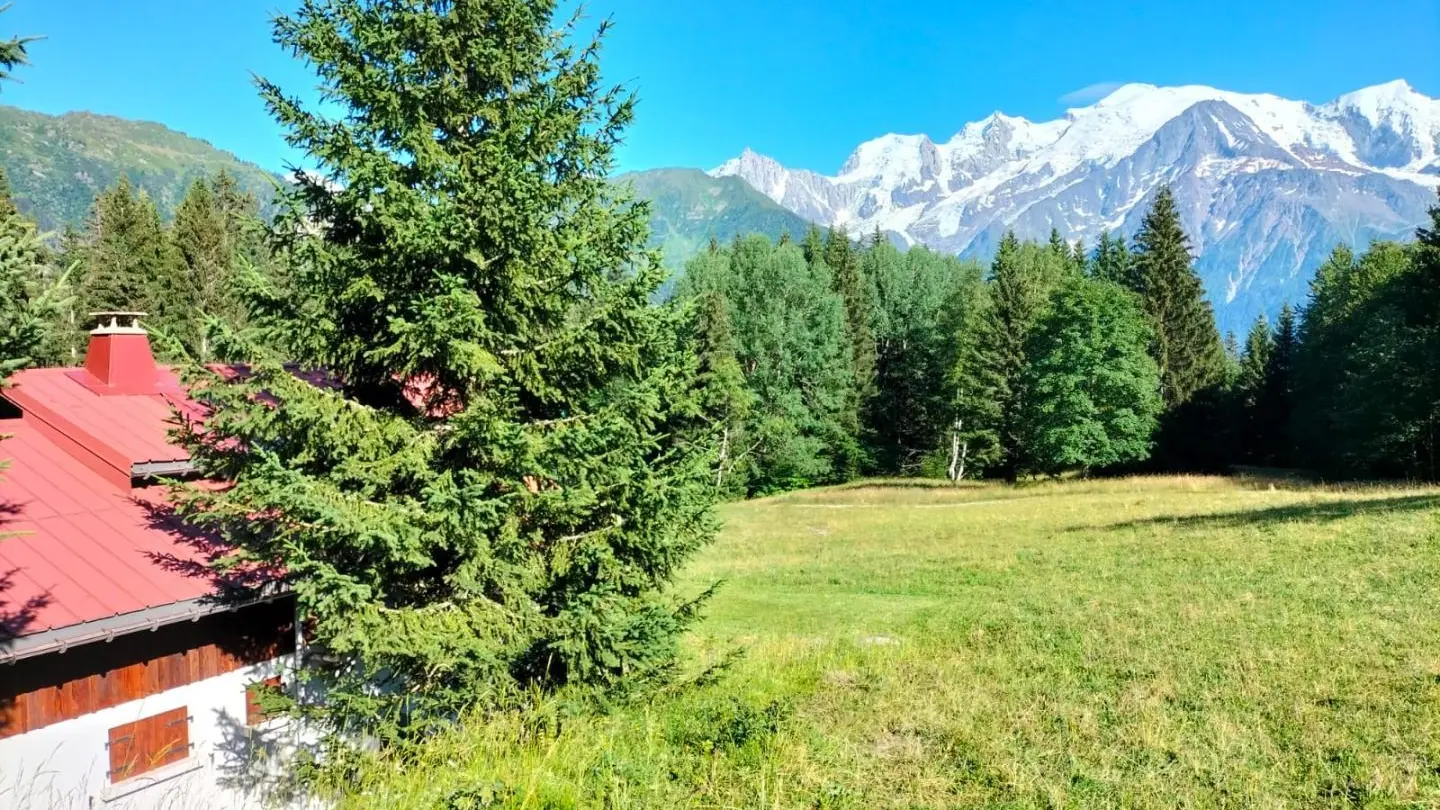 Vue imprenable sur le Mont-Blanc