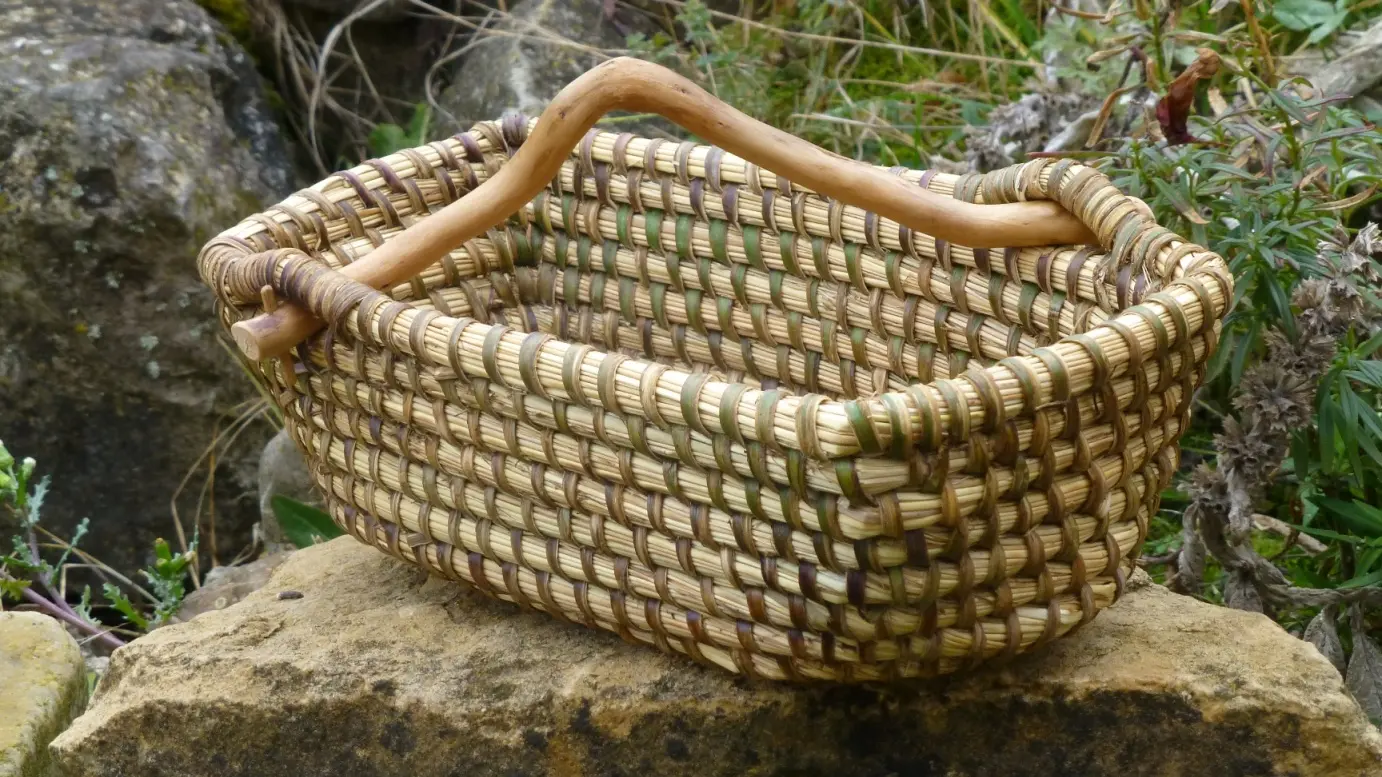 Vannerie sauvage