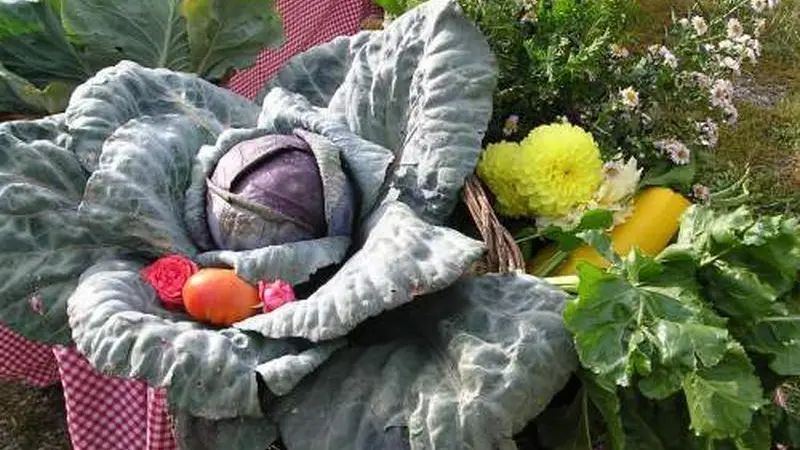 La Cantine des Gourniers REALLON