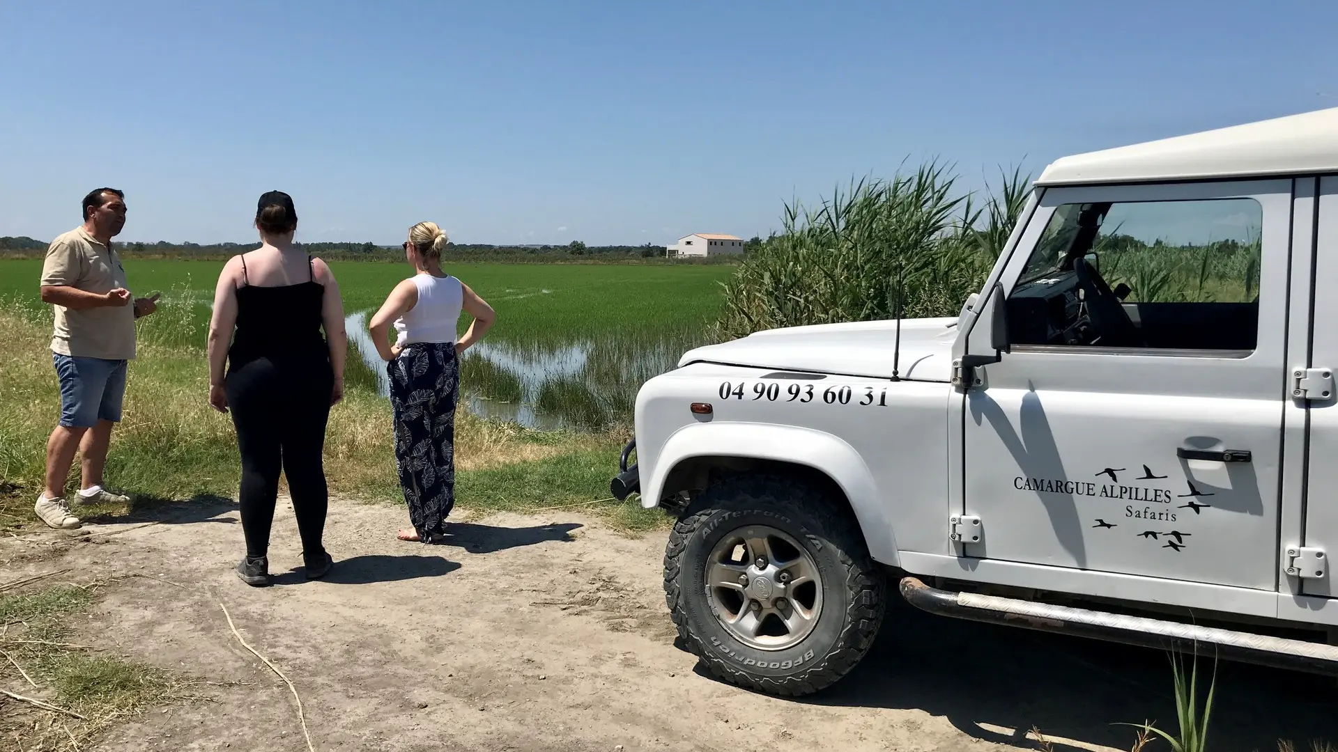 Excursions découvertes Camargue Alpilles Safari