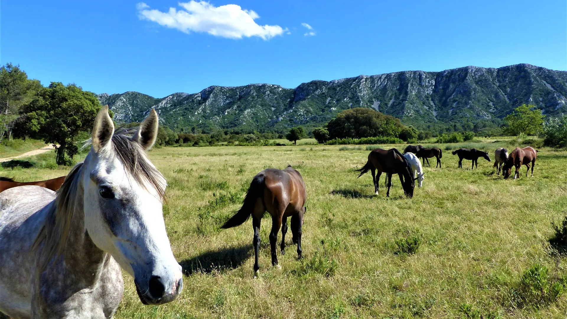 Vue sur le Pas de l'Aigle