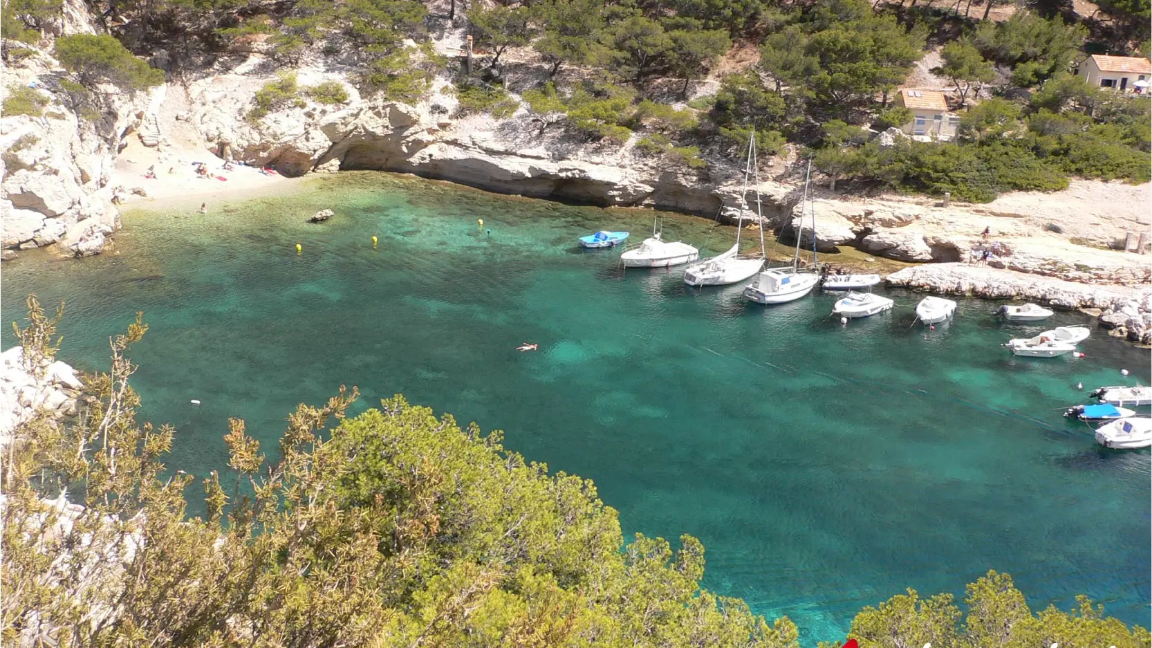 Visite des calanques avec l'Atlantide