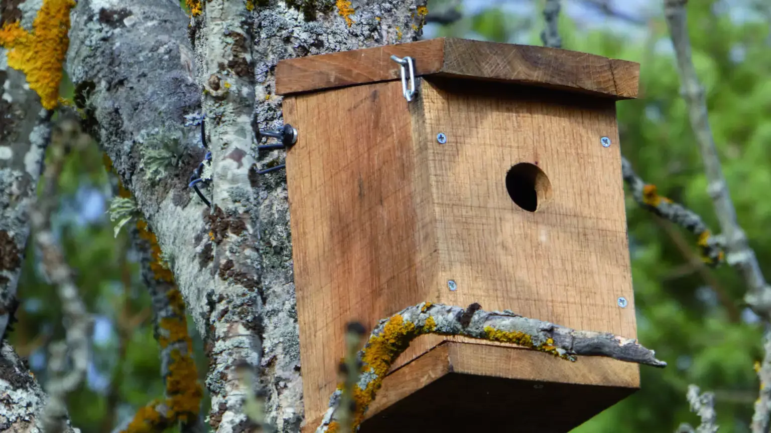 Randonnée découverte des oiseaux et construction de nichoirs_Auzet