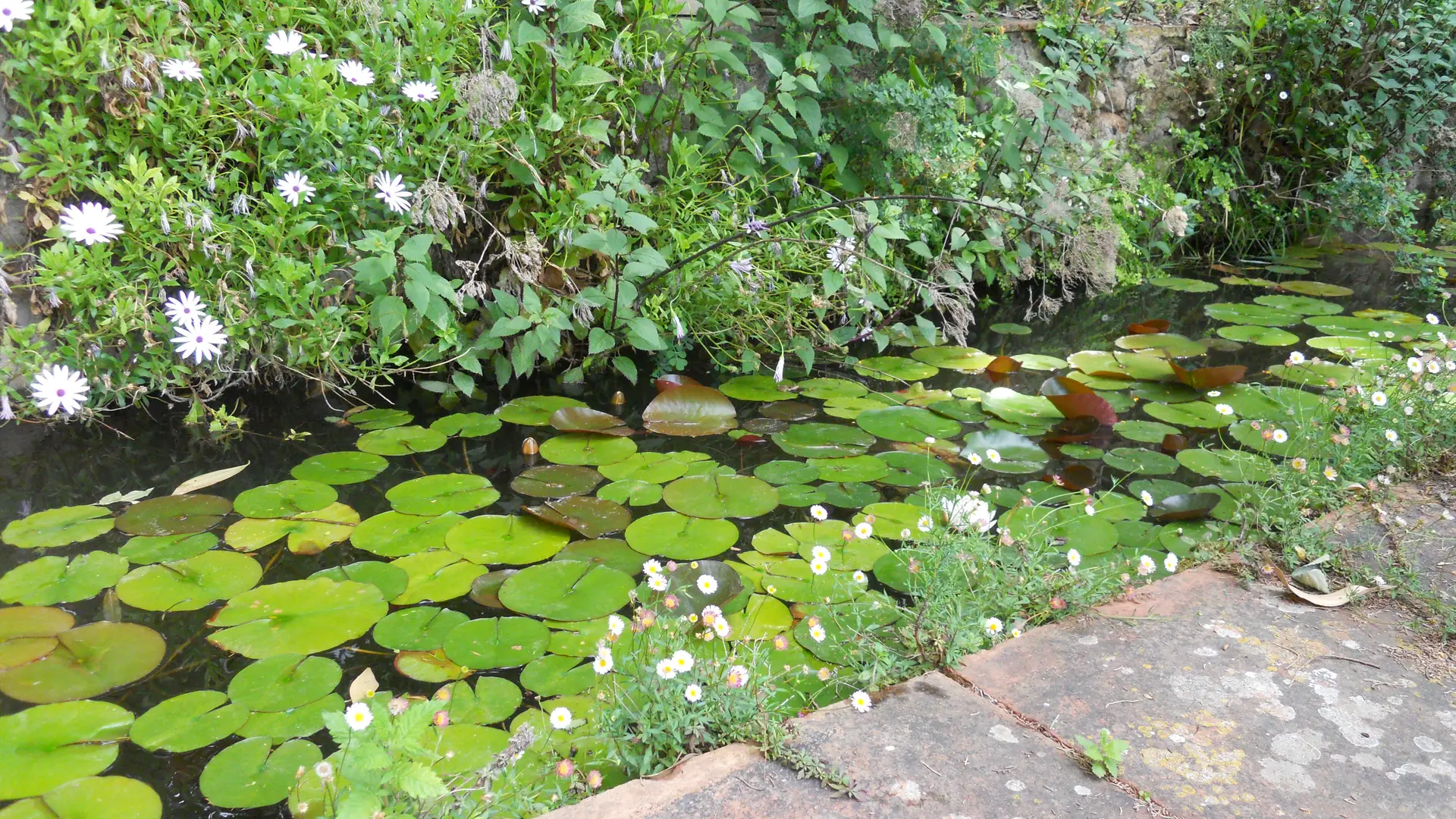 Jardin du Domaine d'Orvès