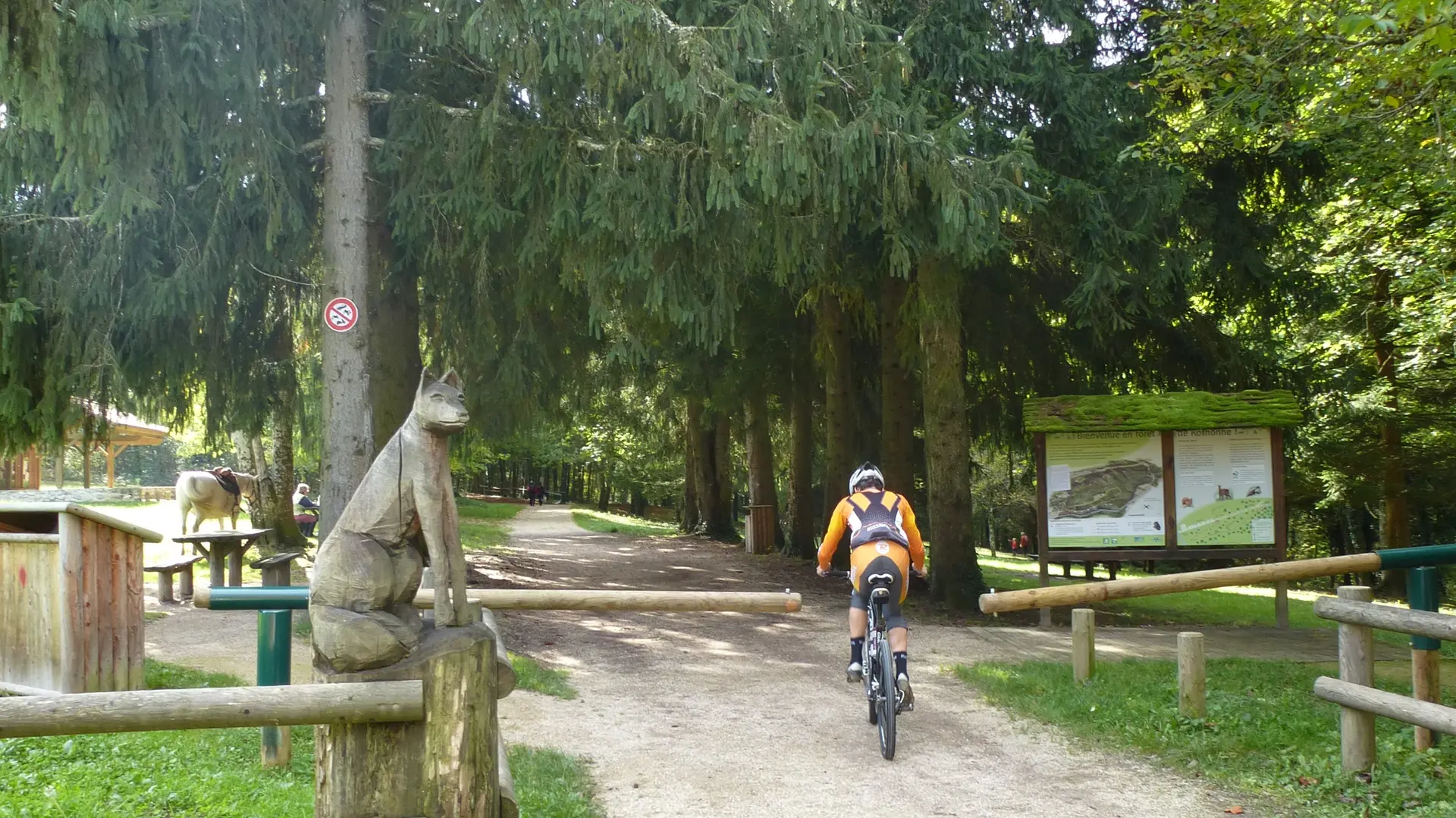 Forêt de Rothonne