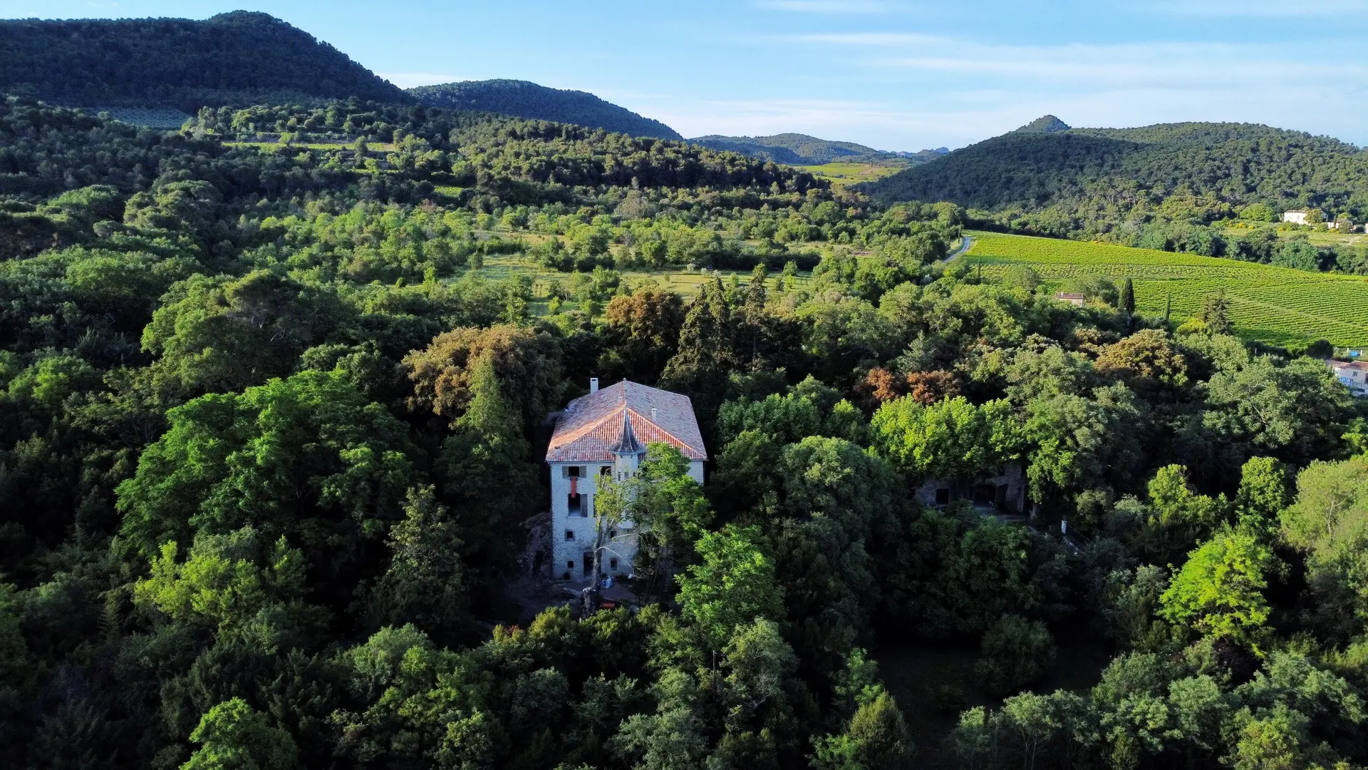 Le Domaine Daulone donne directement sur le parc des Dentelles de Montmirail et du Mont Ventoux