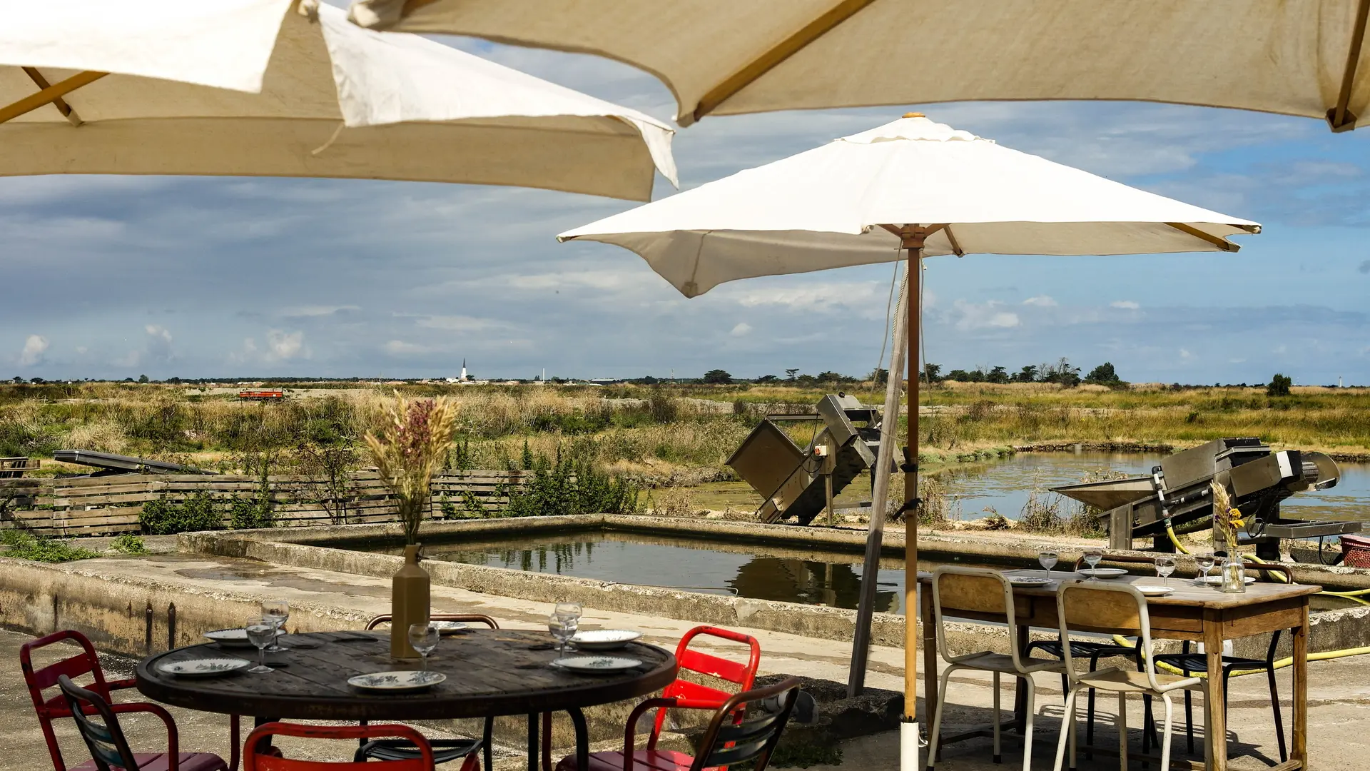Vue sur les marais et le clocher d'Ars-en-Ré