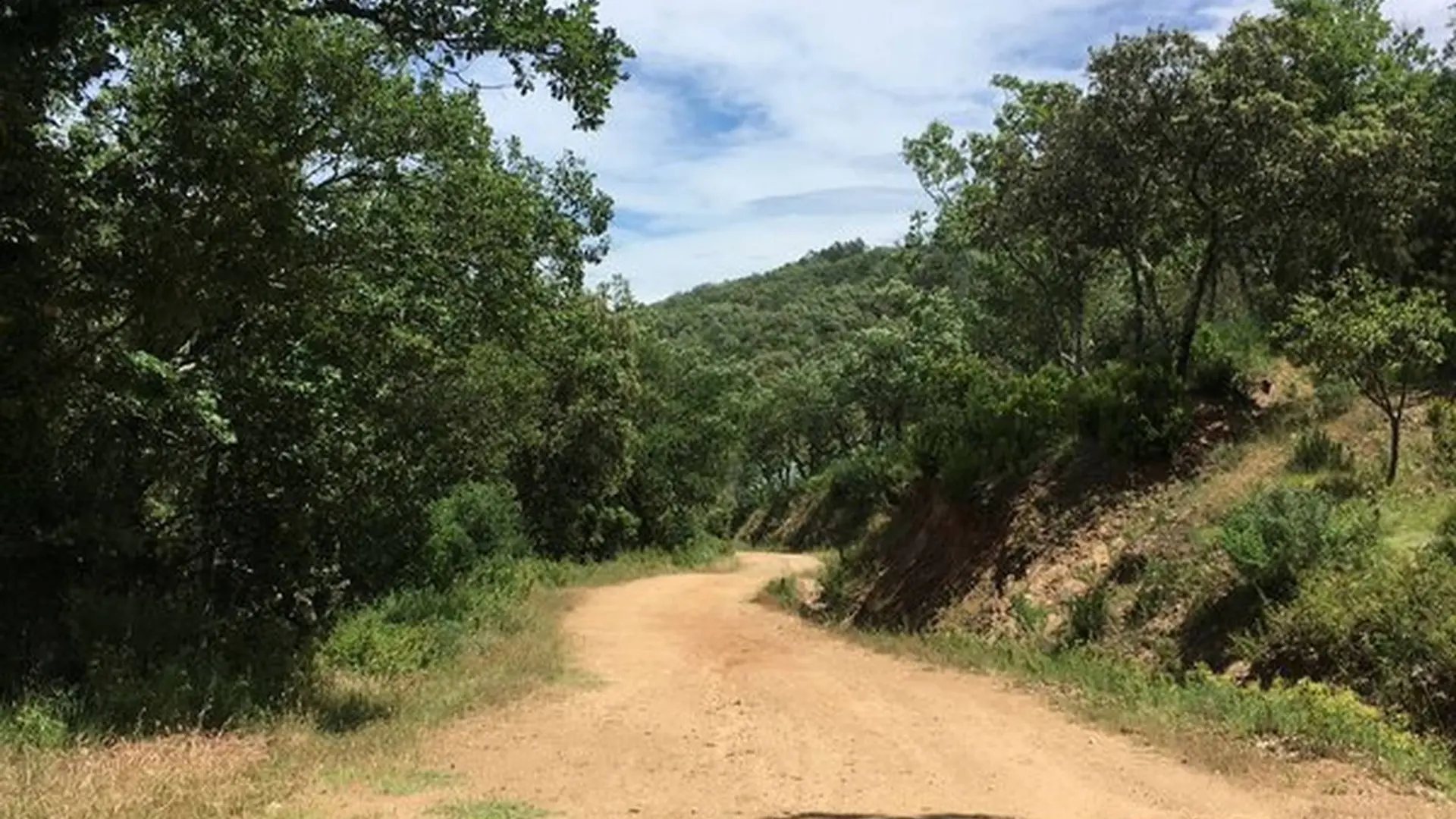 Sentier large avec de la végétation de chaque côté
