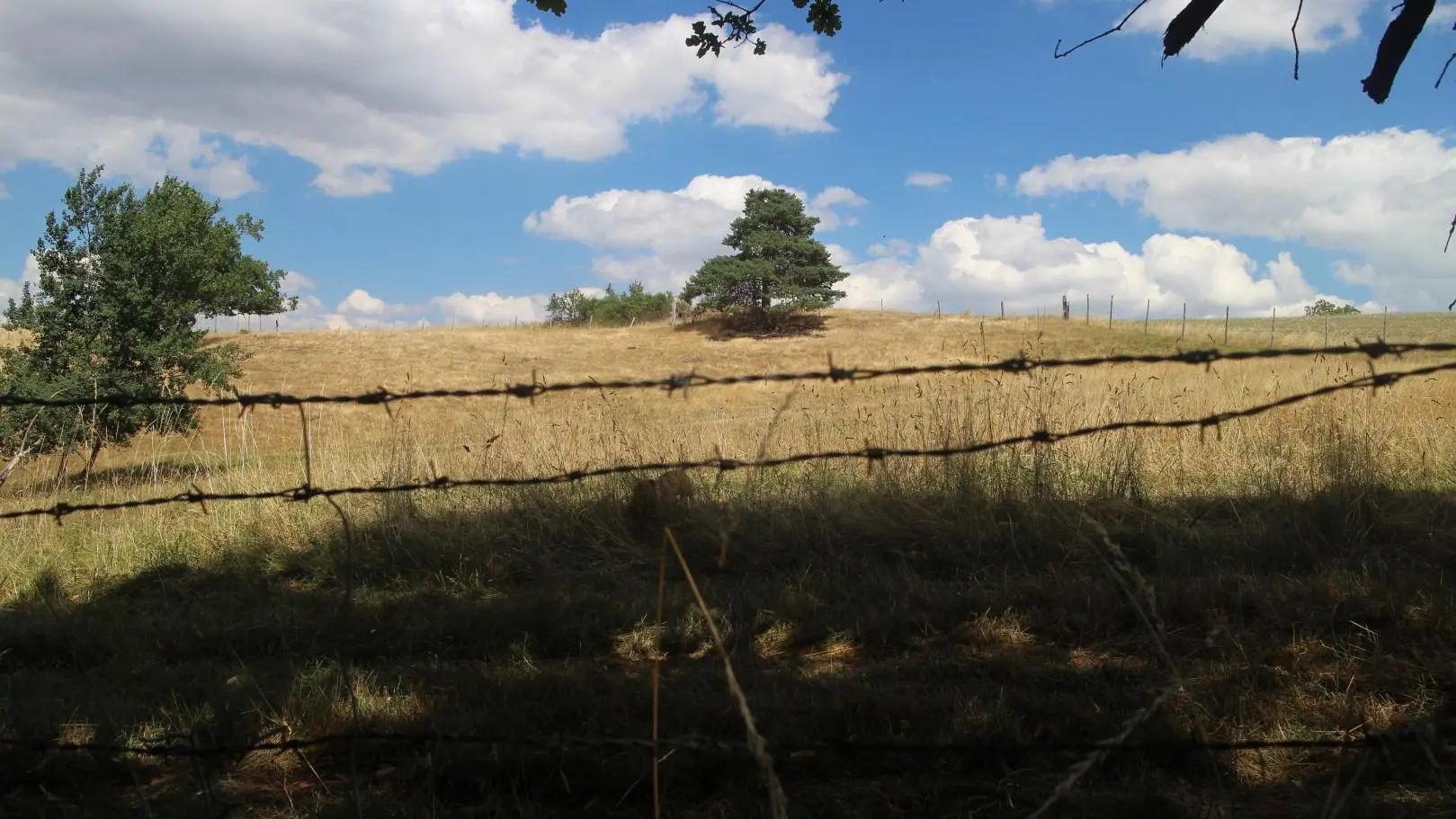 promenade dans la propriété