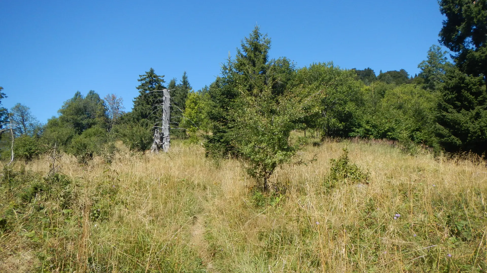 Col du Pralère