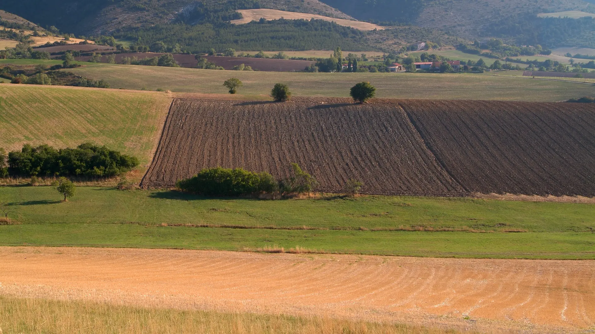 Plaine agricole