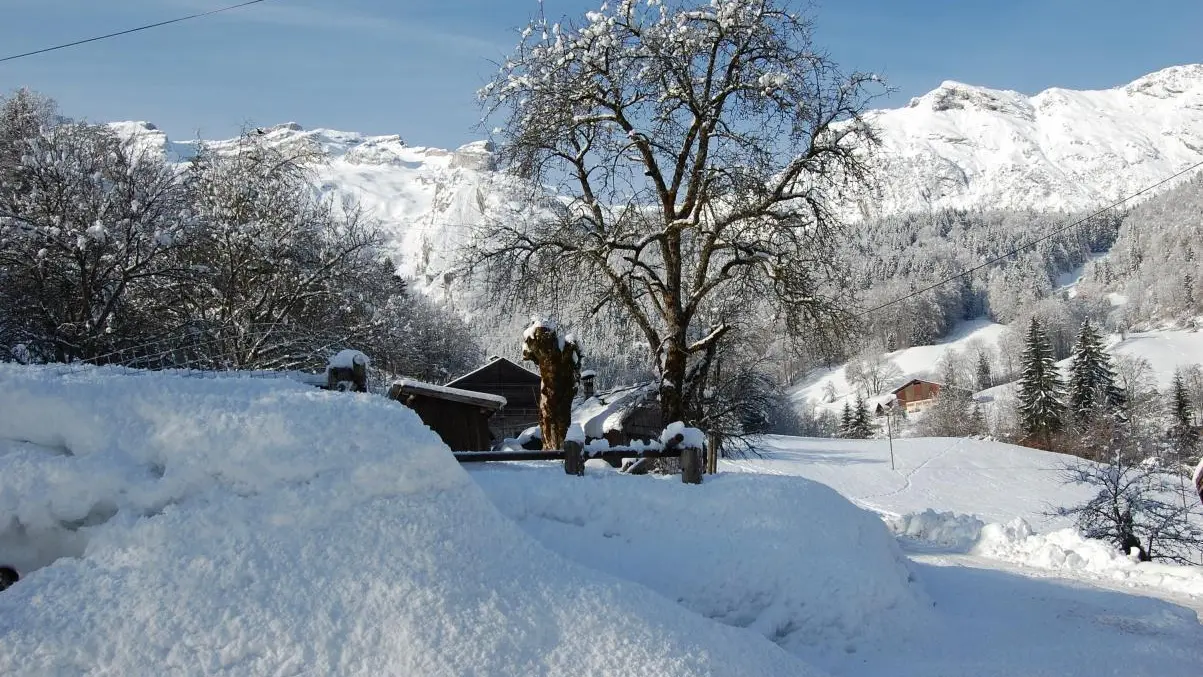 Vue depuis l'accès du chalet