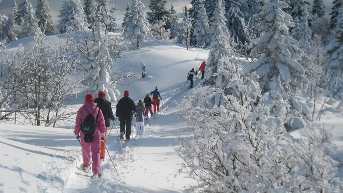 Randonnée accompagnée en raquettes à neige