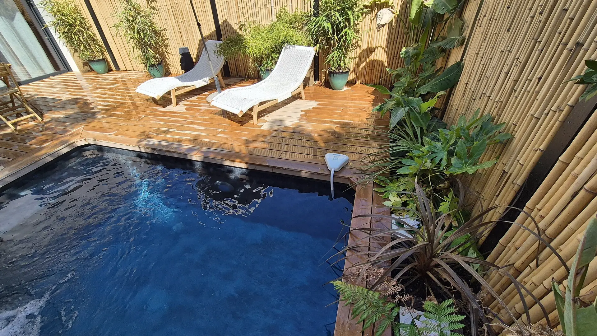 La piscine et transats