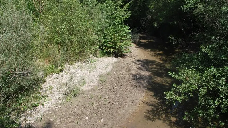 La Blaisance en amont du pont