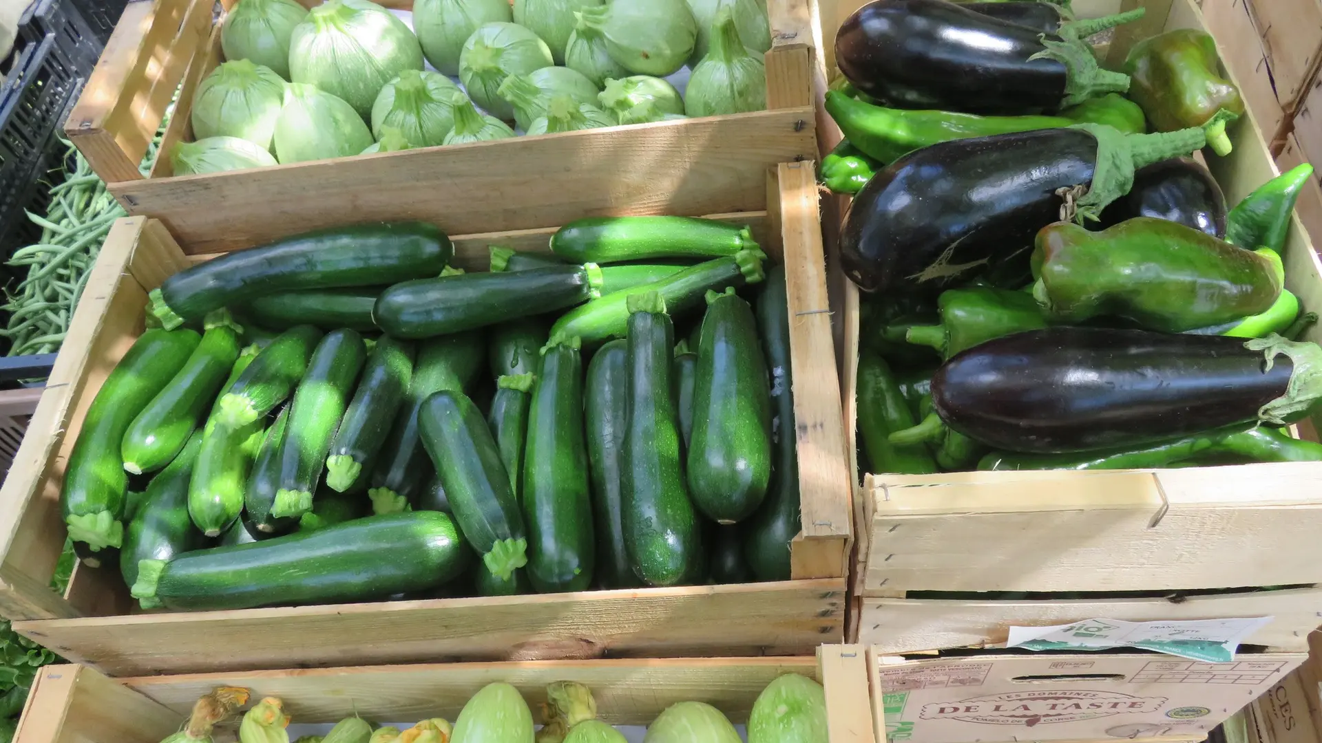 Felix Paysan_Callian