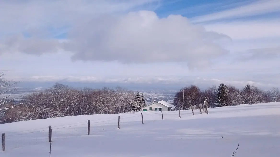 gîte de l'écureuil sous la neige
