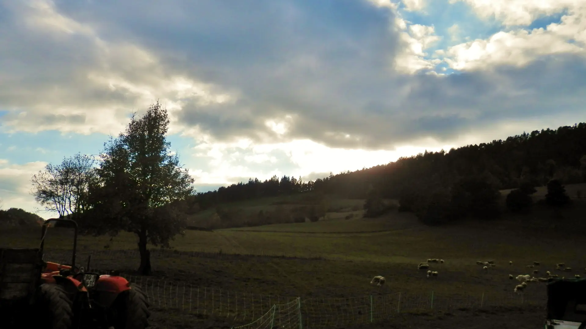 Ferme Etoile du berger