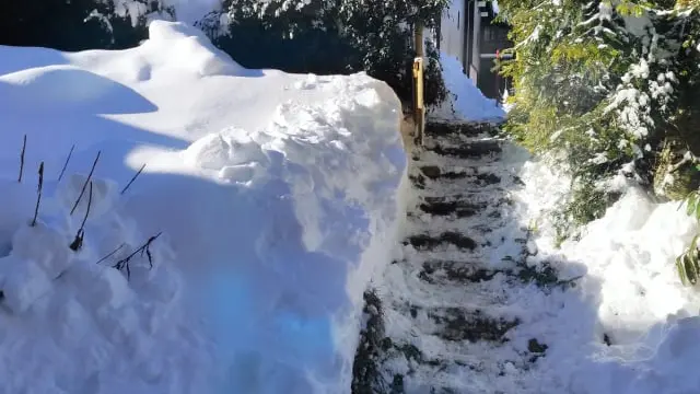 Jardin sous la neige avec les marches d'accès déneigées