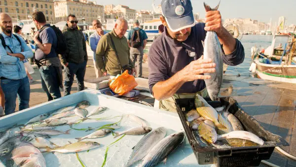 Marseille Food Tour_tourism office