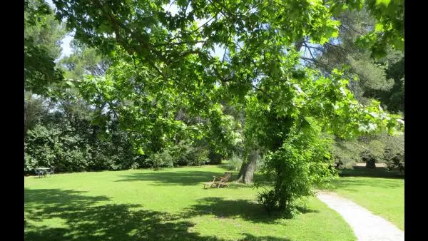 Le parc : chemin d'accès au mazet