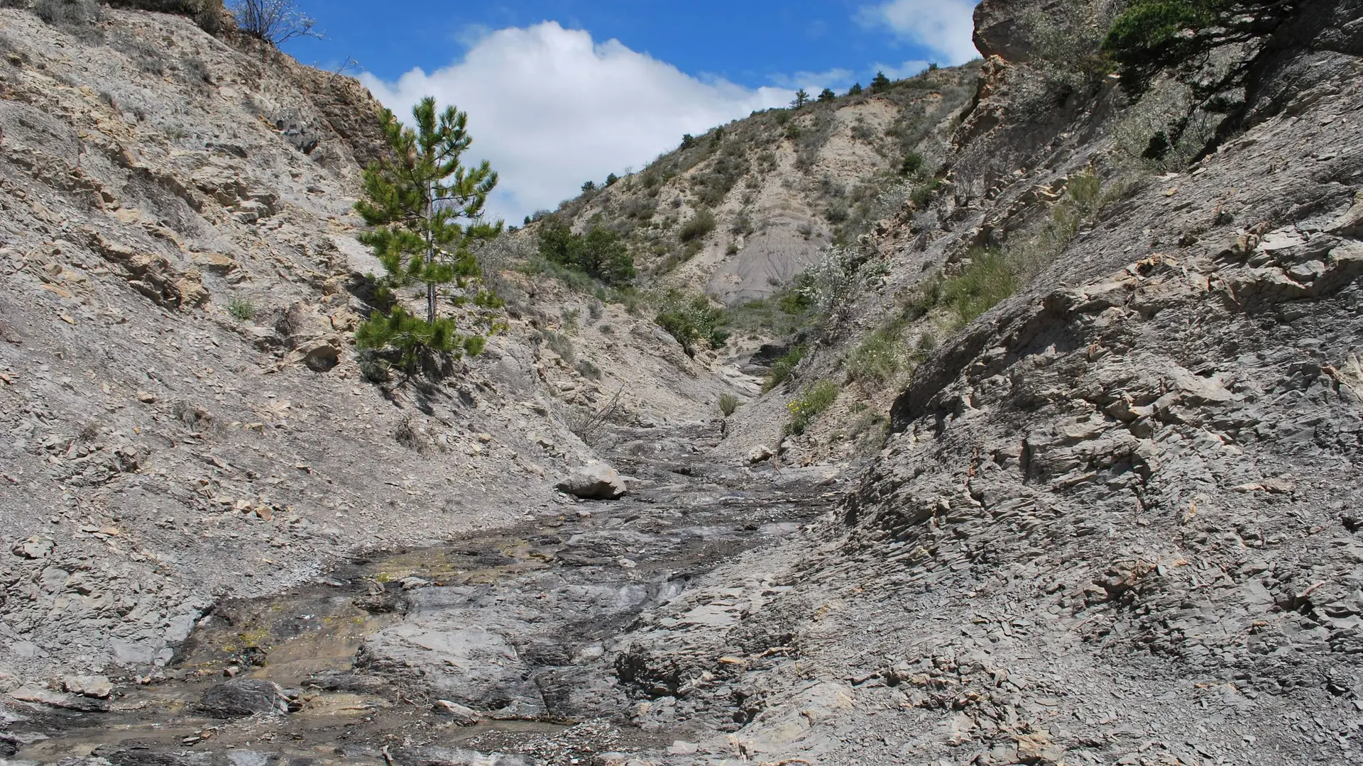 Joli ruisseau et ravin en chemin