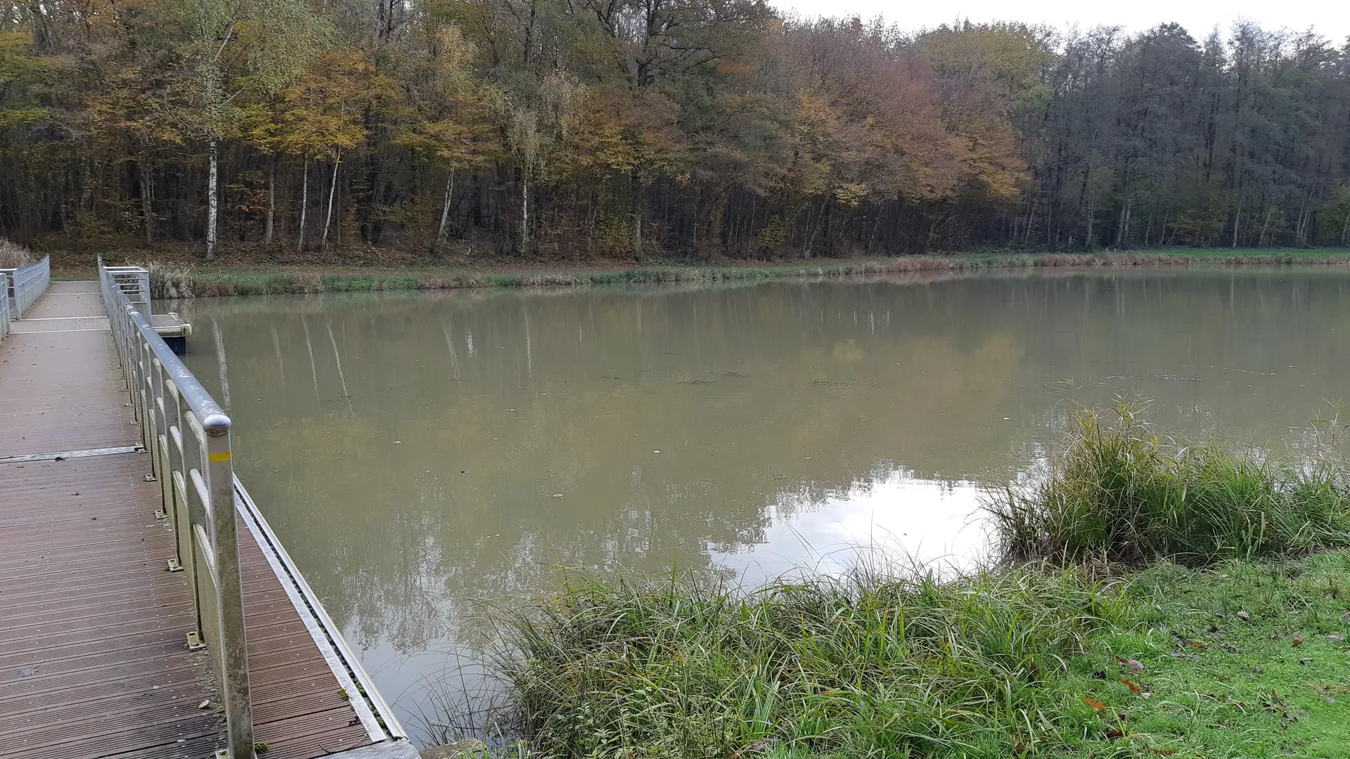 Fougemagne - Coligny