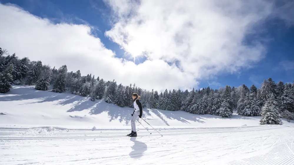 Ski de fond