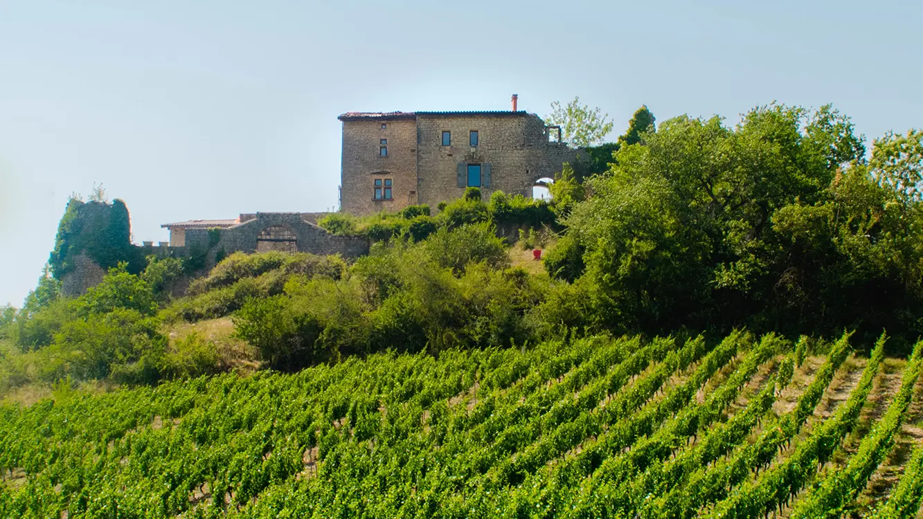 Vignoble du Bugey