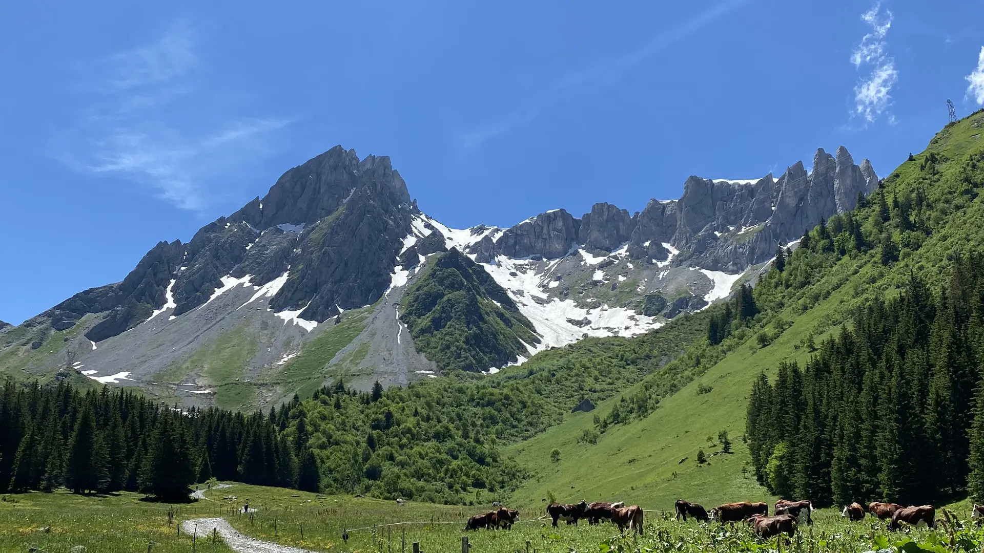 Traversée du Plat de la Rollaz avant d'arriver