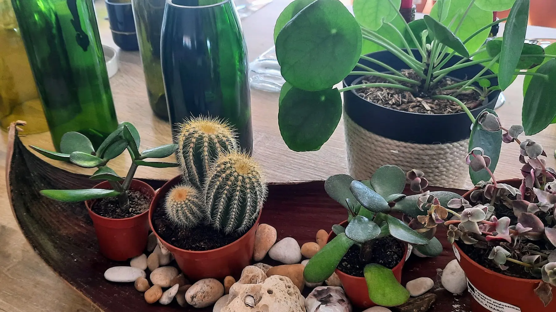 Zwischen Haus und Garten