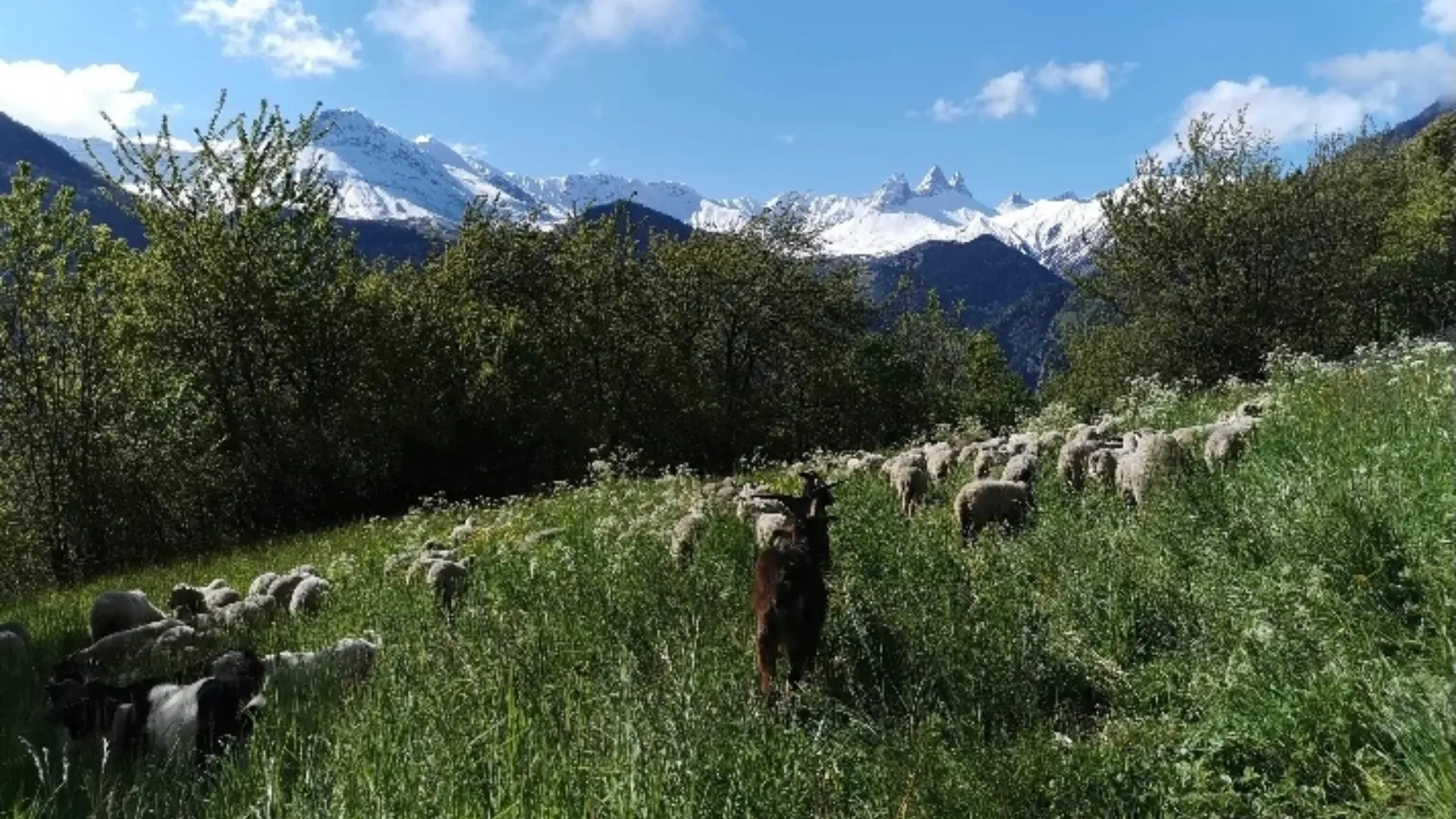 Bergerie de l'étoile