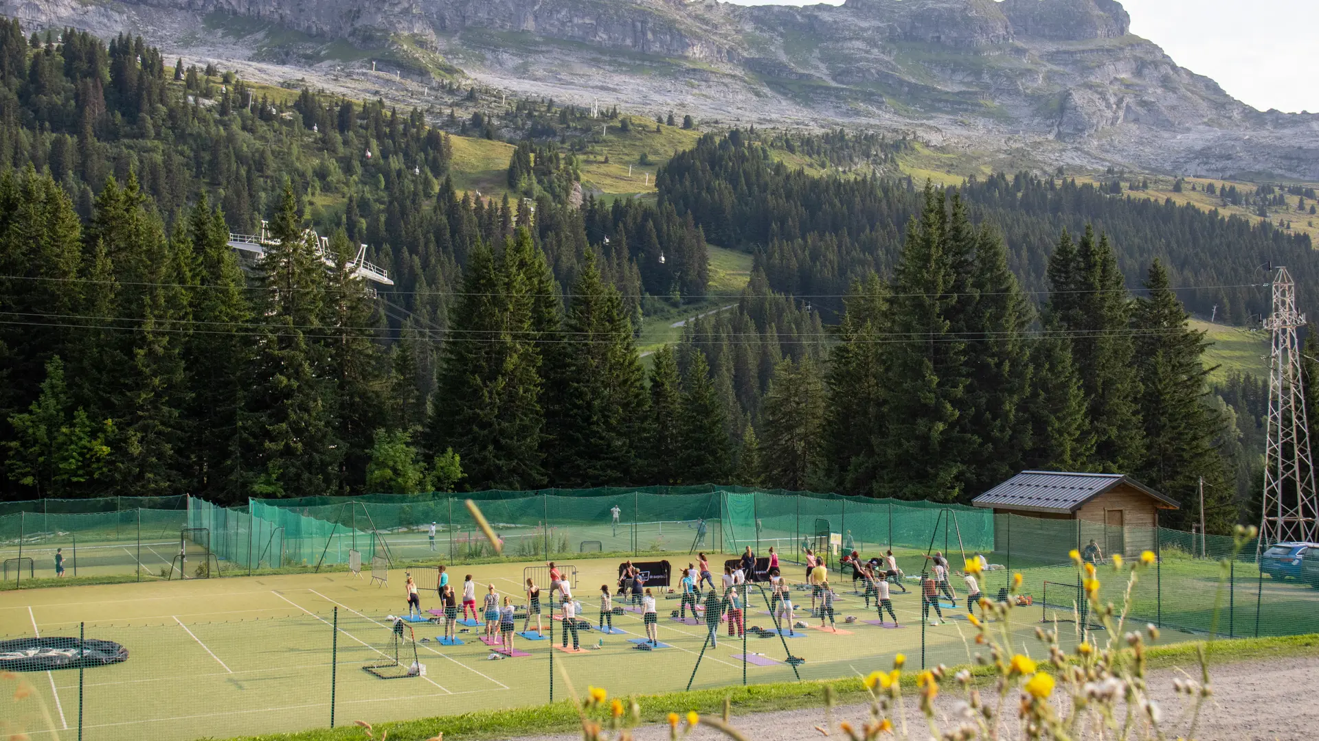 Vue d'ensemble du cours de yoga