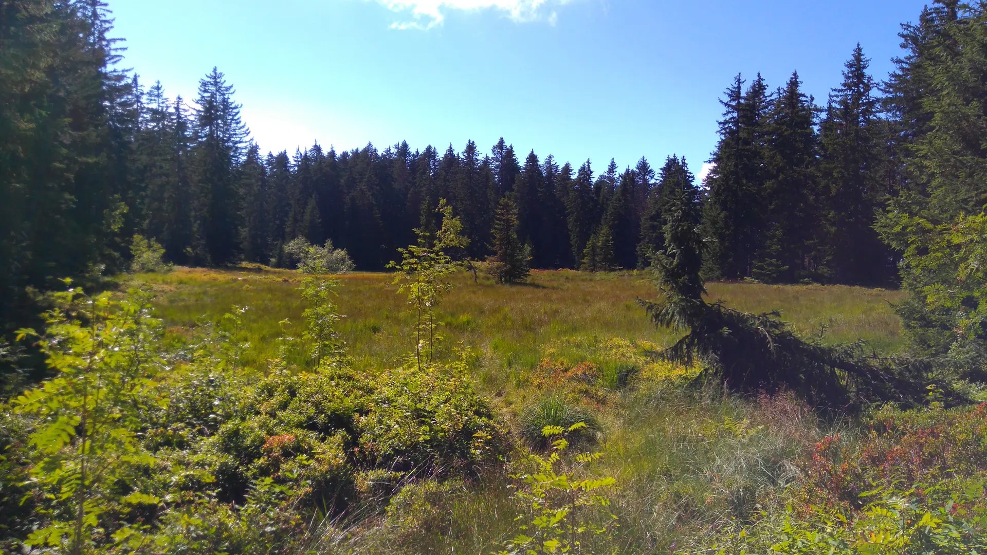 Le lac des Saisies