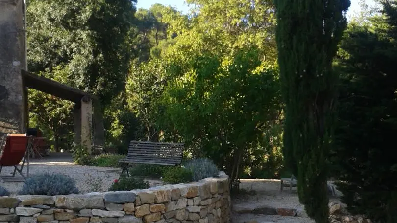 un coin du jardin de La Feuillère