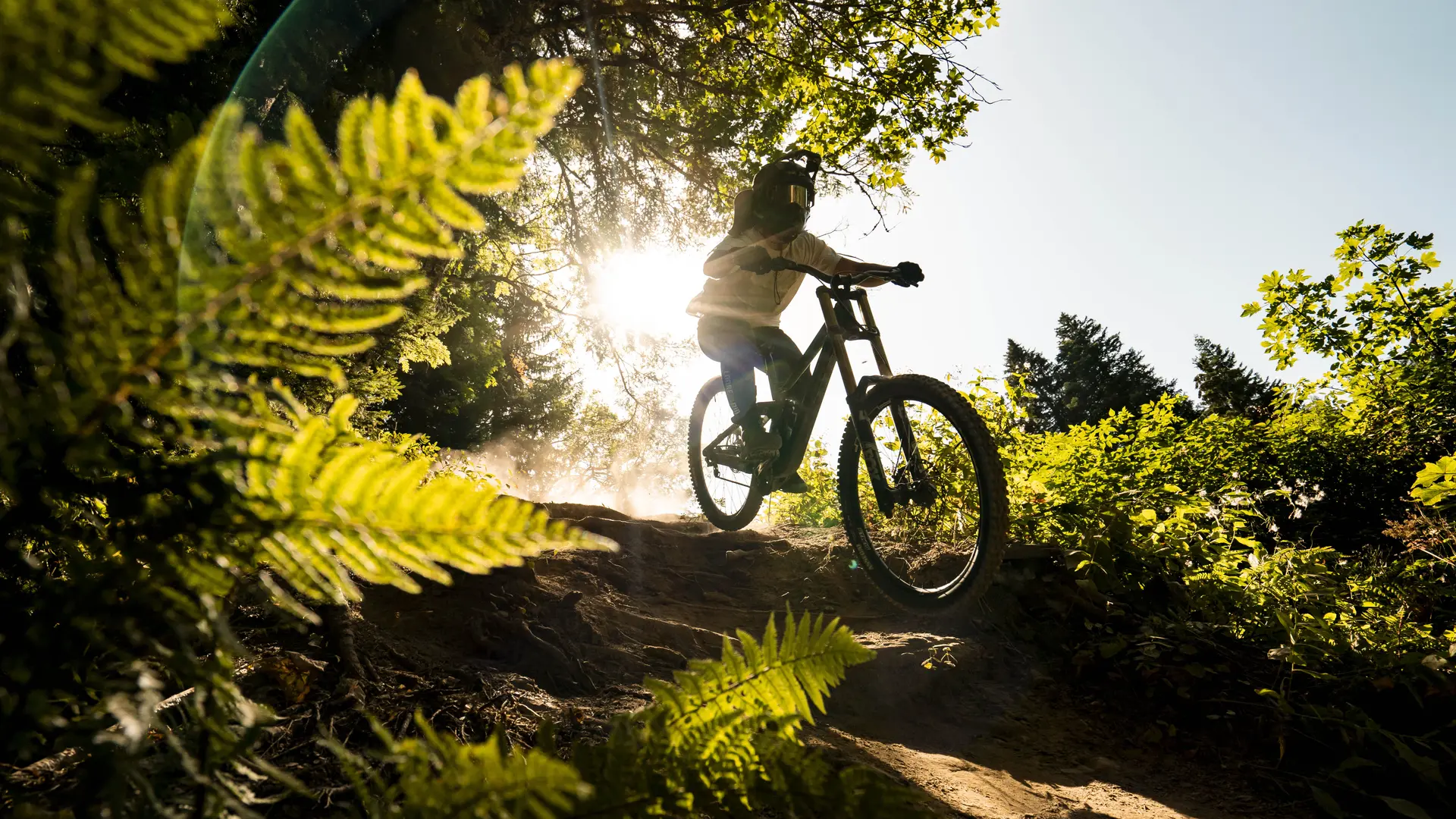 Piste VTT Coup de fouet du Bike Park de Châtel