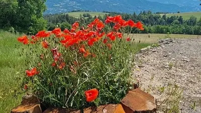 Le Refuge des Toupins