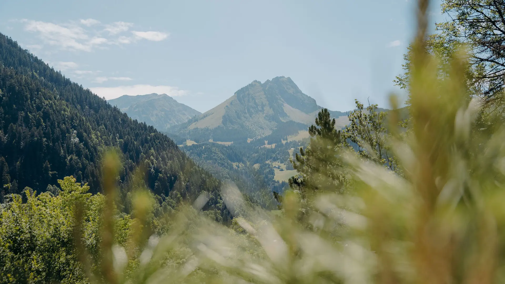 Image vue Chalet Flachaire