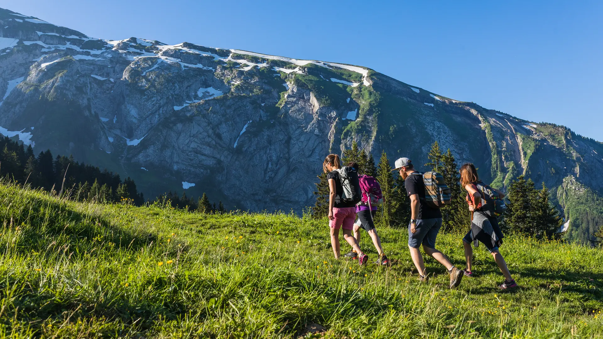 Tour des alpages de Fréterolle à Chardonnière