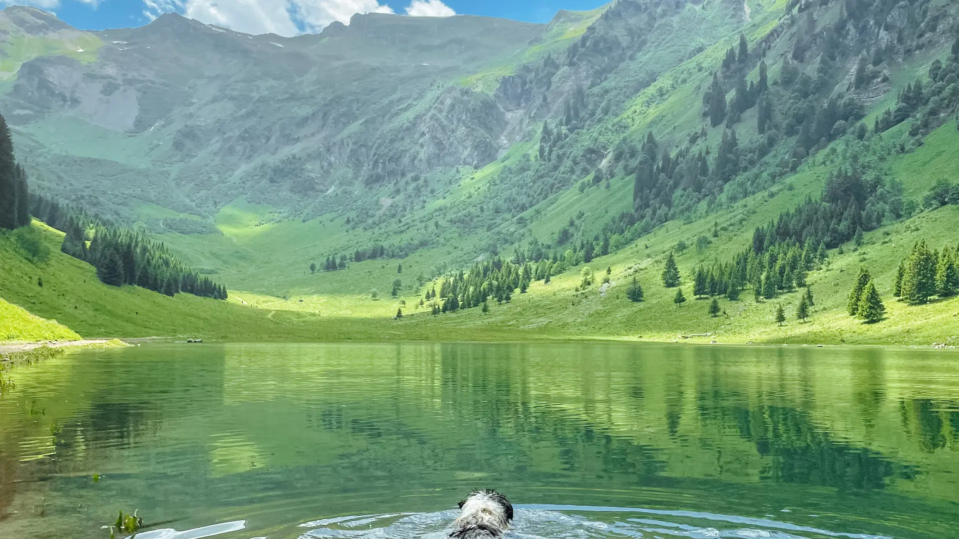 Lac de gers - baignade du toutou