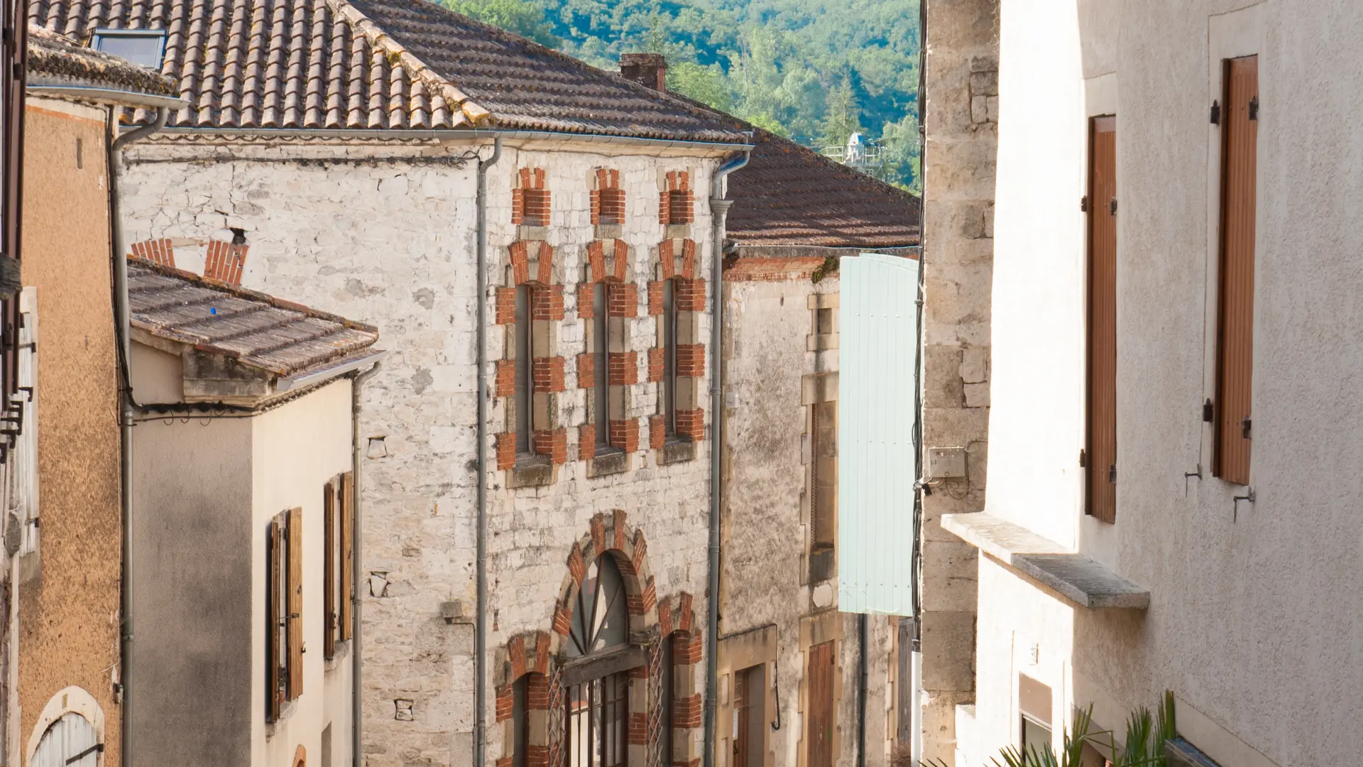 Montaigu-de-Quercy, vue du village