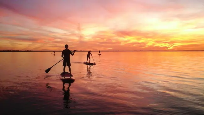 Randonnée en stand-up paddle dans le Fier d'Ars