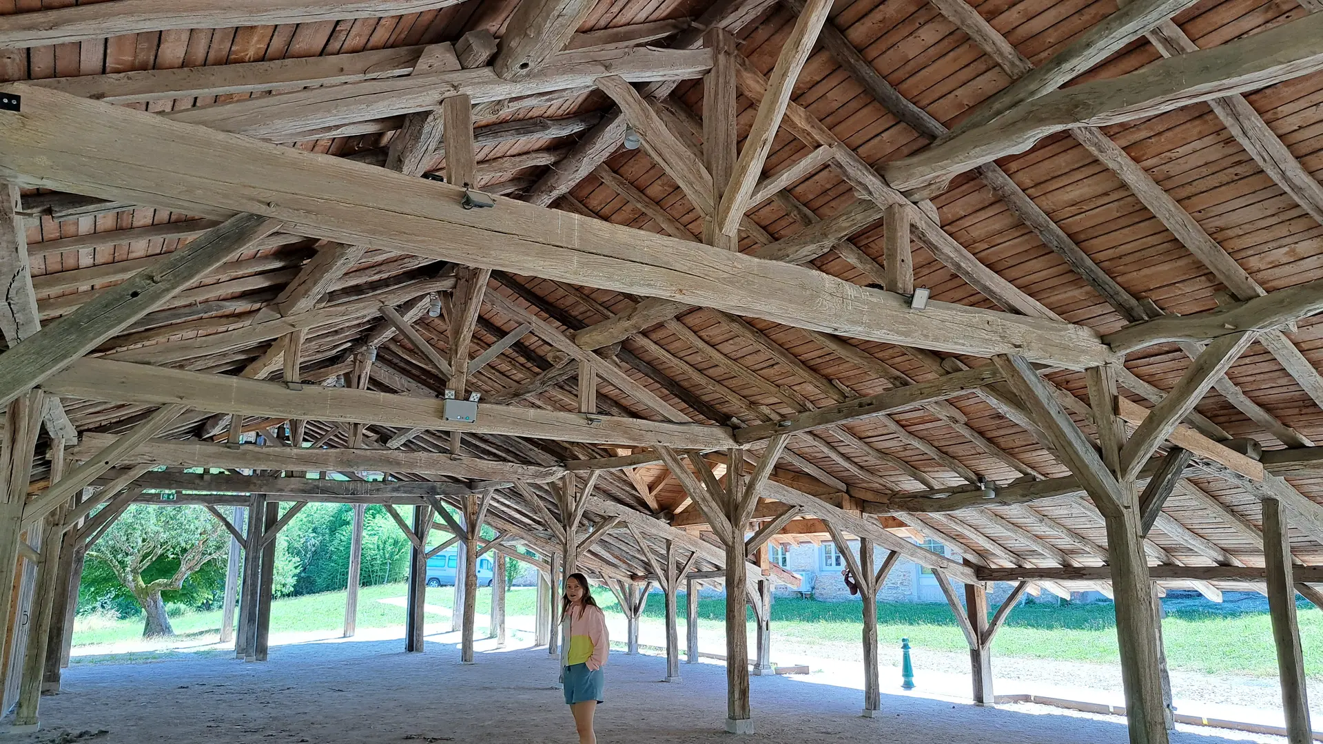 Carronnière de Mollardoury_Saint-Trivier-de-Courtes