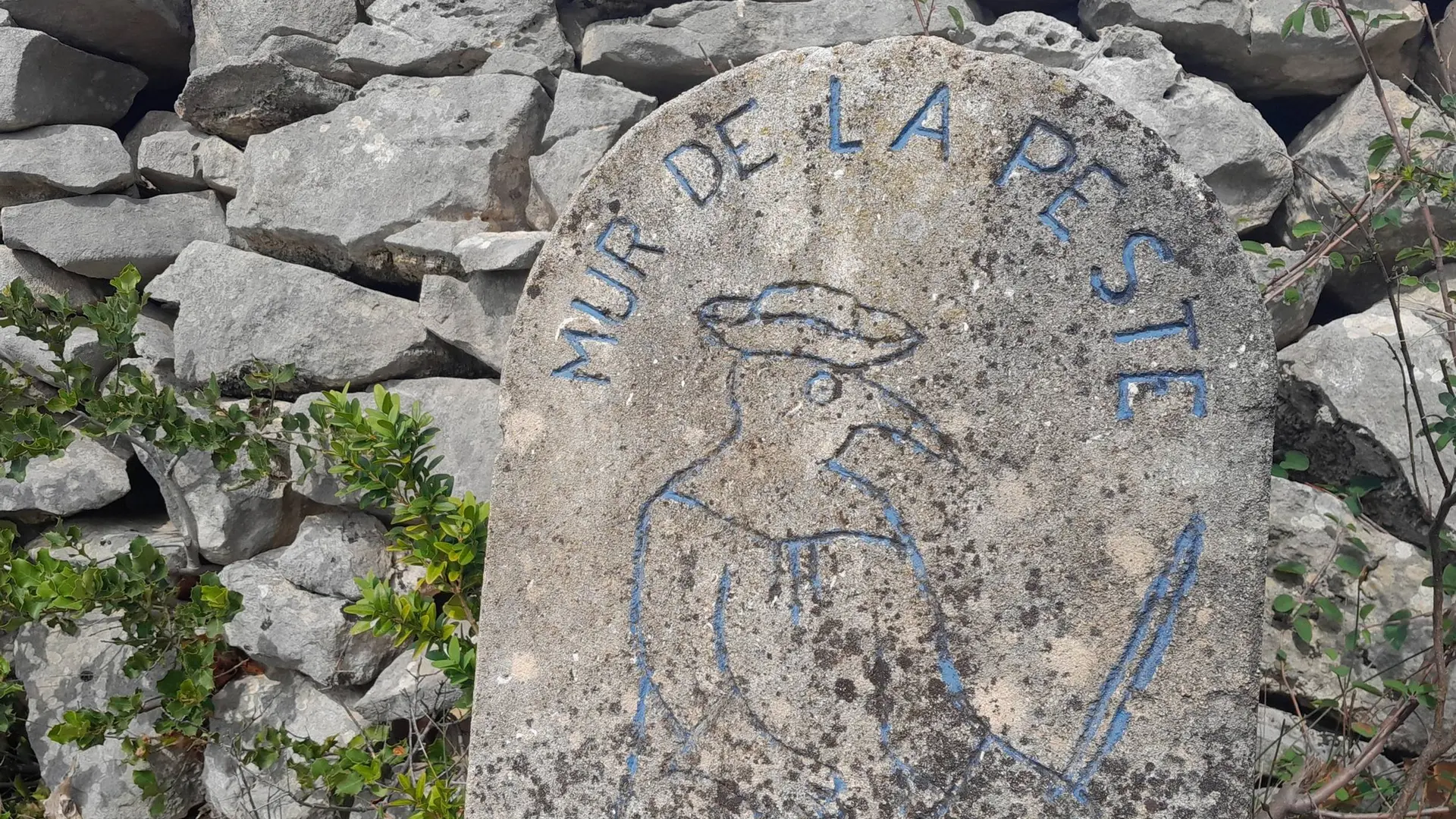 Mur de la Peste sur les hauteurs de Cabrières d'Avignon