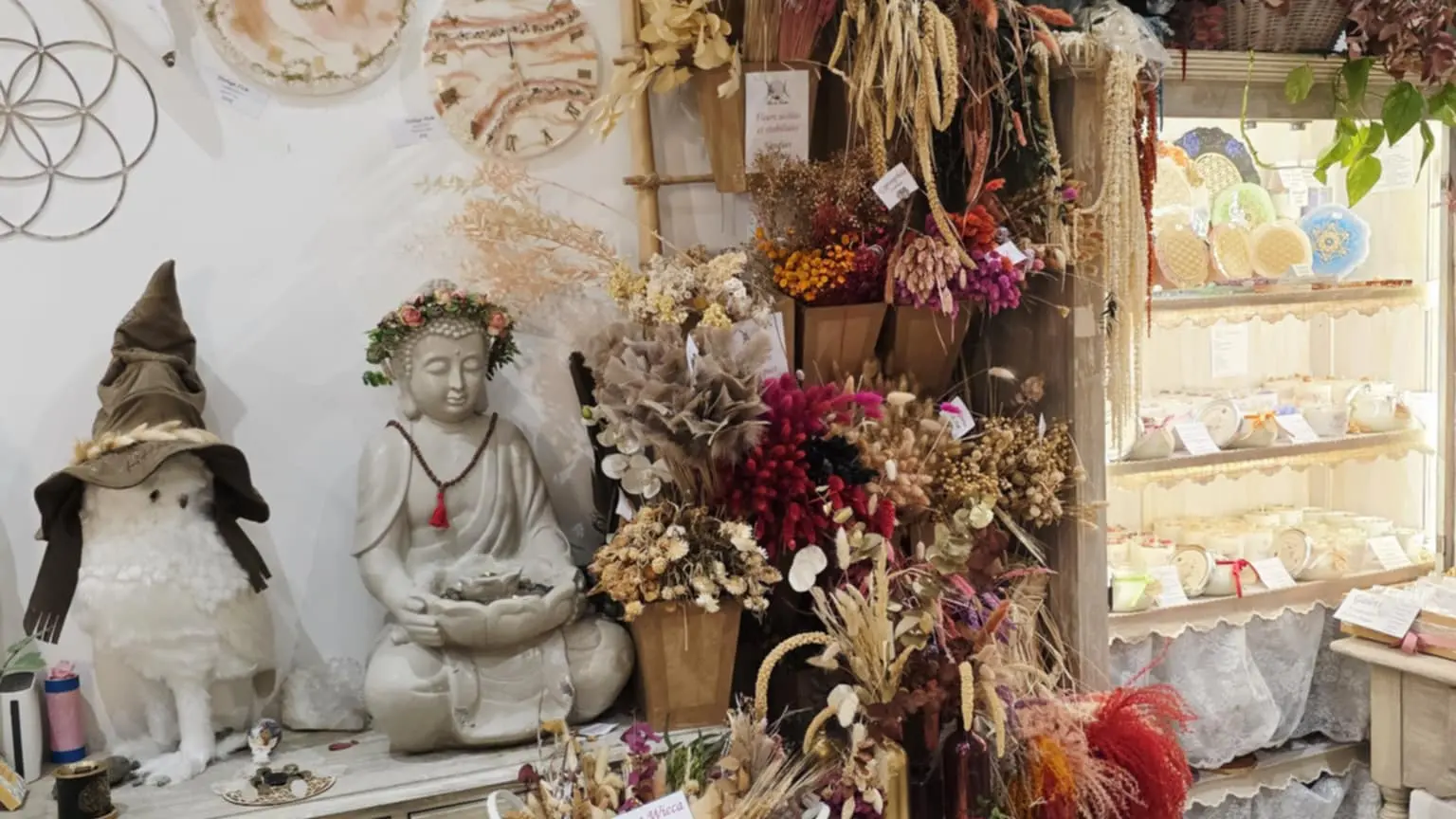 Âme de sorcière_Montauban