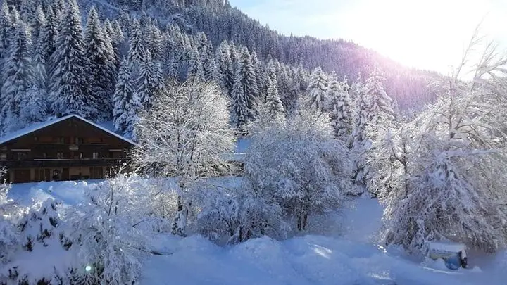 Chalet l'Orée du Lac en hiver